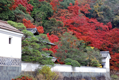 堀庭園004