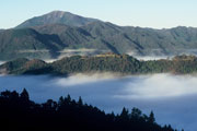 朝霧の津和野城跡