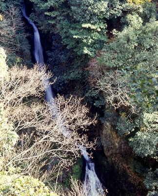 千八尋の滝の写真