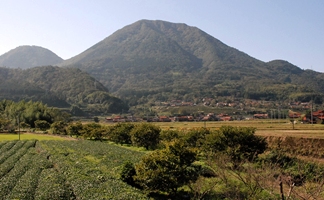 青野山の風景