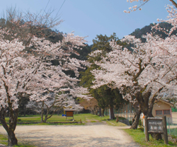 春の嘉楽園