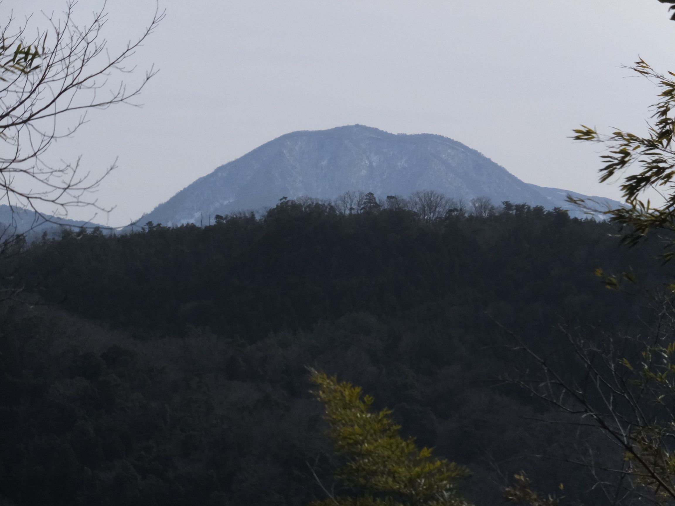 青野山