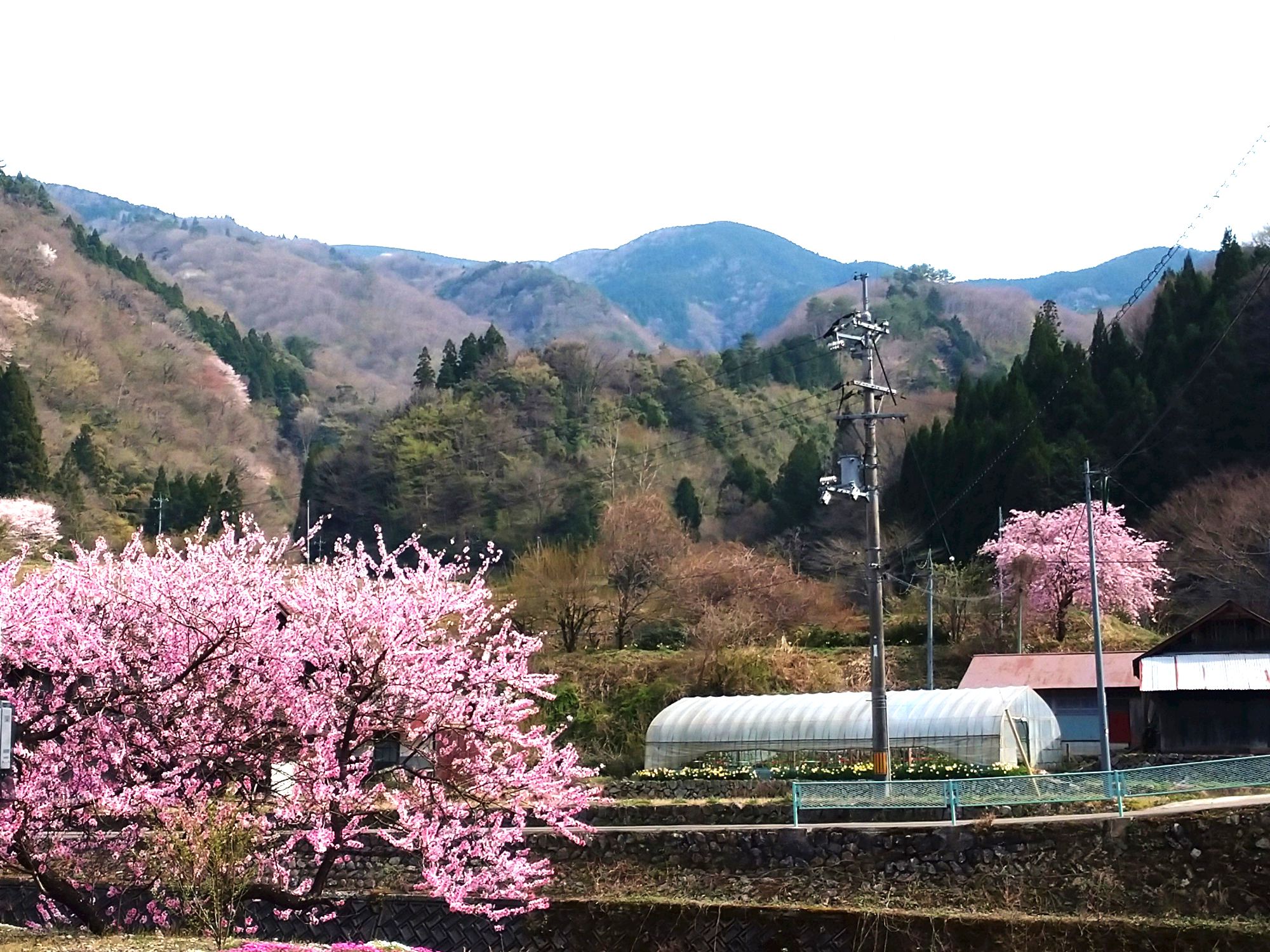 azoujiyama