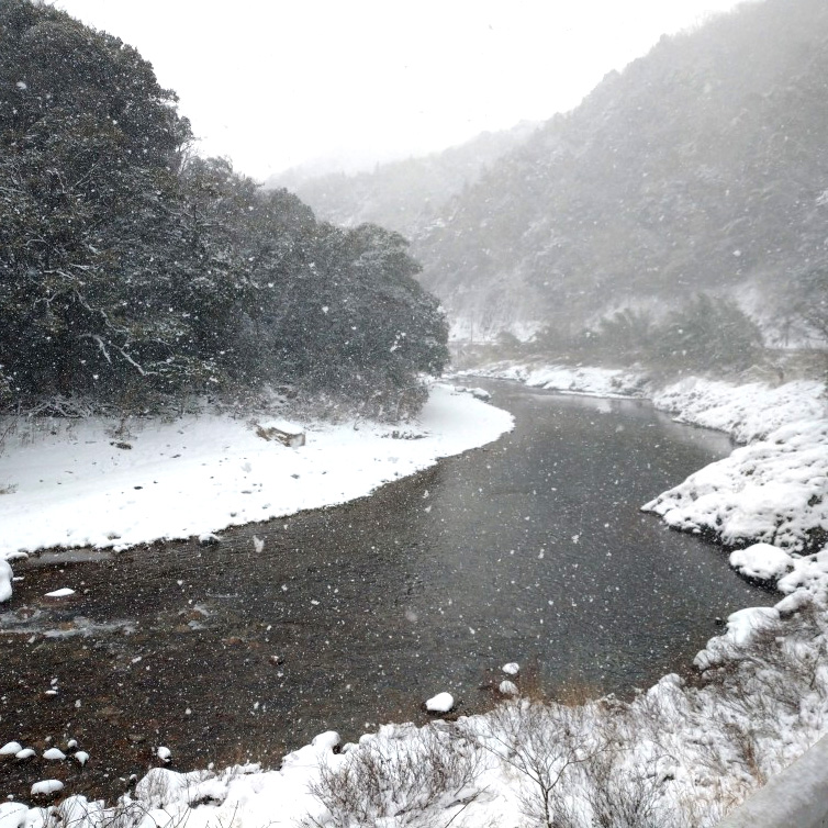 雪の高津川