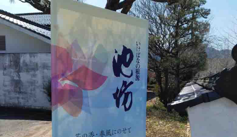 華道家元池坊津和野支部花展（令和6年3月10日） | 津和野町